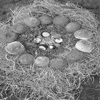 afbeelding30-standard.jpg