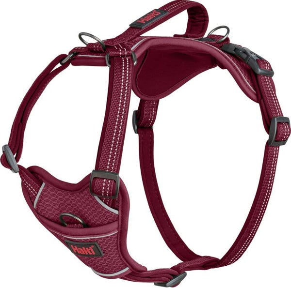 Company of animals harness anatomy halti magenta XL