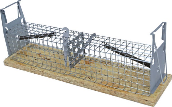 Luna muizenvangkooi, 2-deurs.