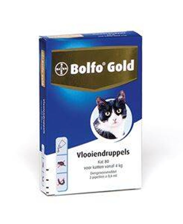Bolfo Gold Kat 80  vanaf 4 kg 2 Pipet