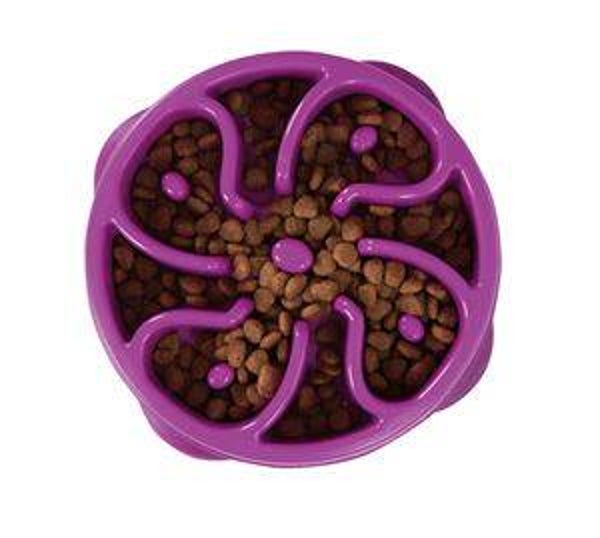 Fun Feeder Mini Purple Anti-Schrok