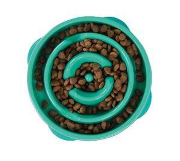 Fun Feeder Mini Teal Anti-Schrok