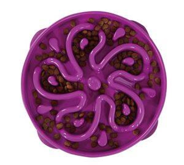 Fun Feeder Puprle Large