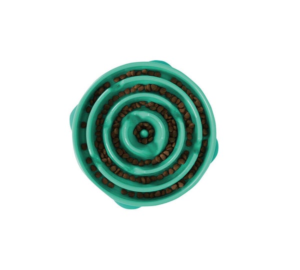 Fun Feeder Teal Large