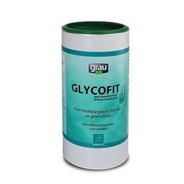 Glycofit 500gr