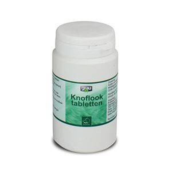 Knoflook Tabletten 200st