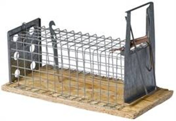 Luna Houten Muizenval Recht 1-Kleps 16cm