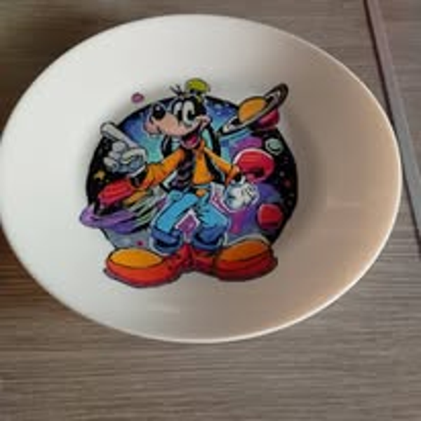 Grande assiette fine dingo dans l'espace