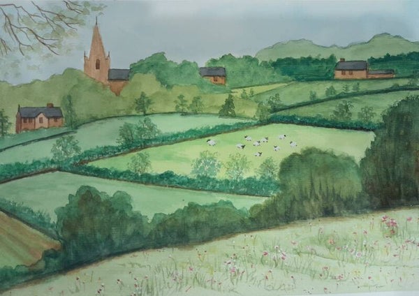 Summer Fields