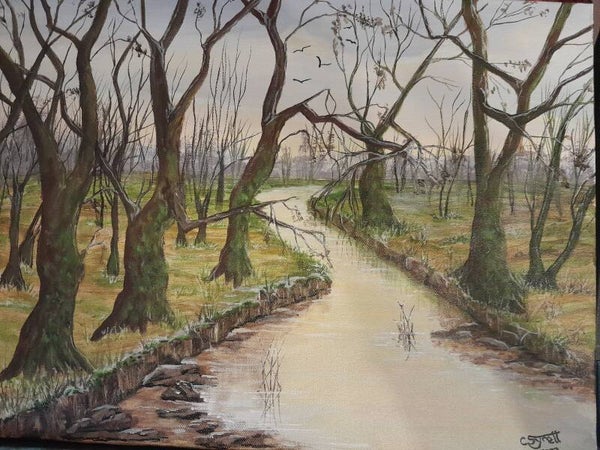 Winter Walk