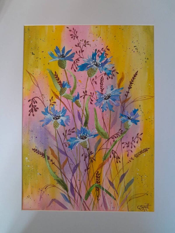 Cornflowers Watercolour Painting