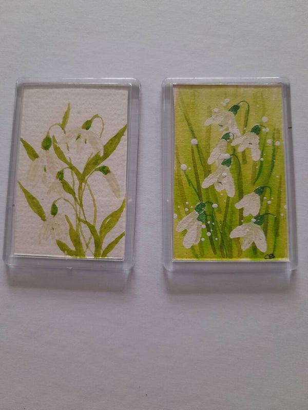 Pair of Fridge Magnets