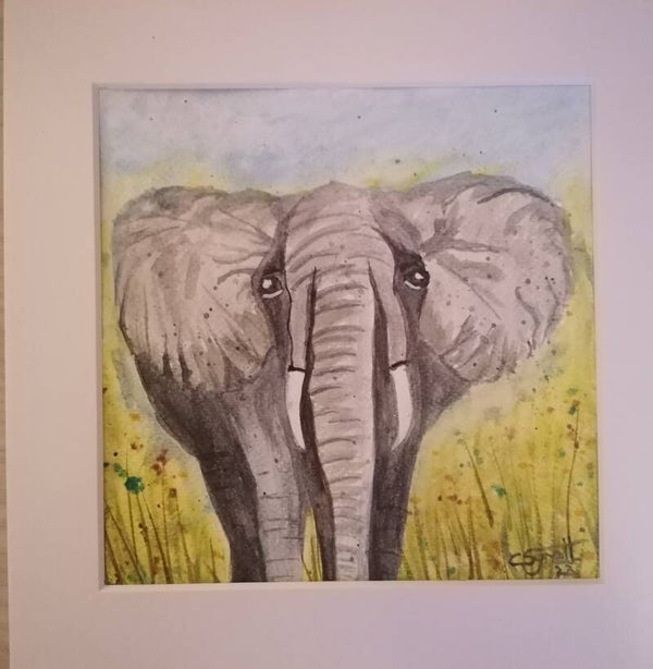 Elephant