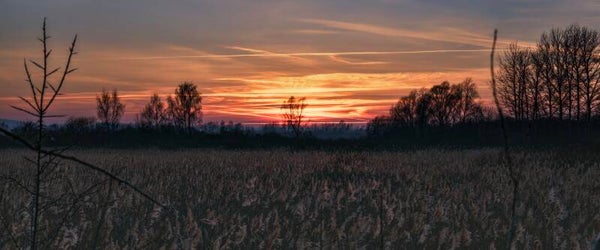 Zdjęcie panoramiczne #5