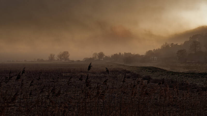 p1013512_dxo-standard.jpg
