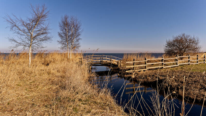 p1013943_dxo-standard.jpg