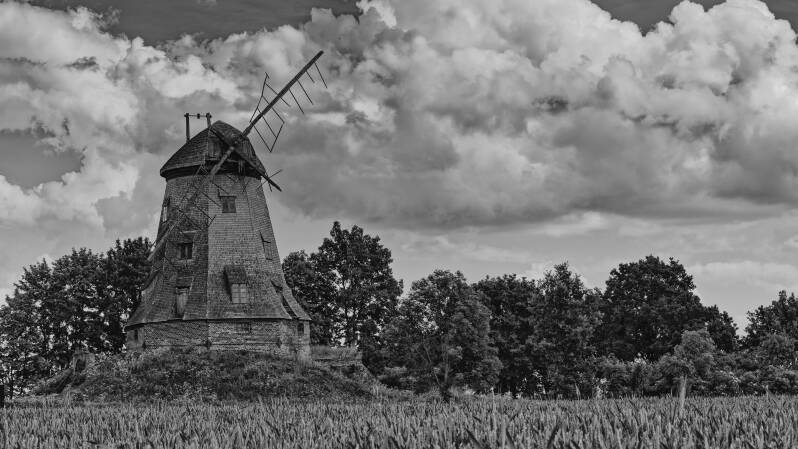 p1014670-2_dxo-standard.jpg