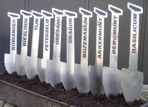 Plantensteker 'Selderie'