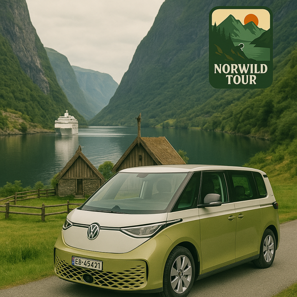 Gudvangen & Flåm Day Tour – NorWild Adventure