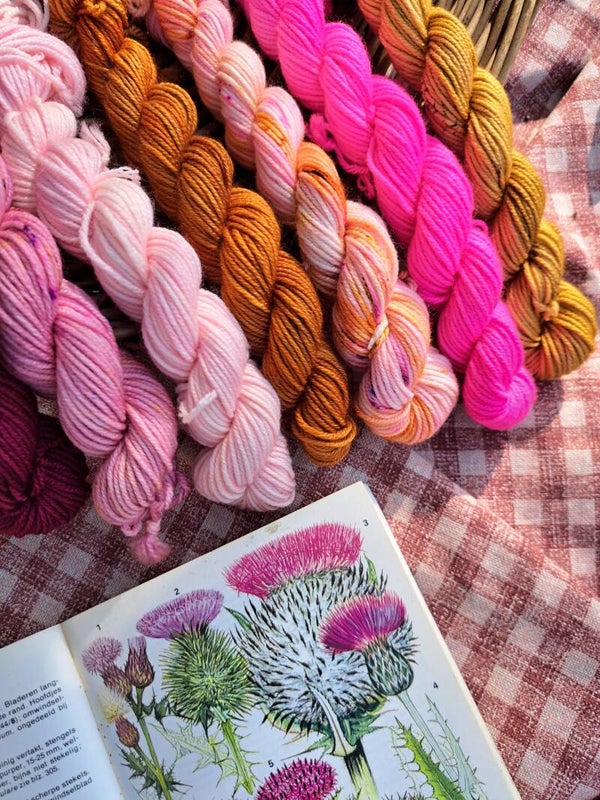 Miniset DK Rosy Harvest