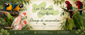 Les plumes de l'Hyrôme