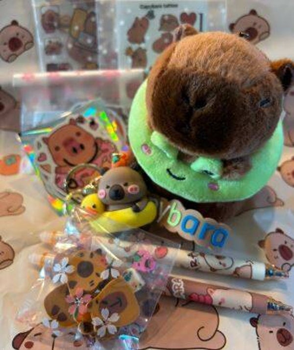 CAPY HAPPY BOX - groen