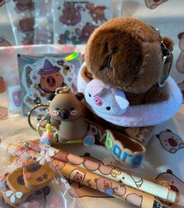 CAPY HAPPY BOX - roze