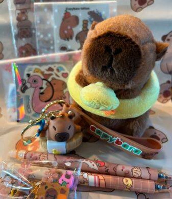 CAPY HAPPY BOX - geel