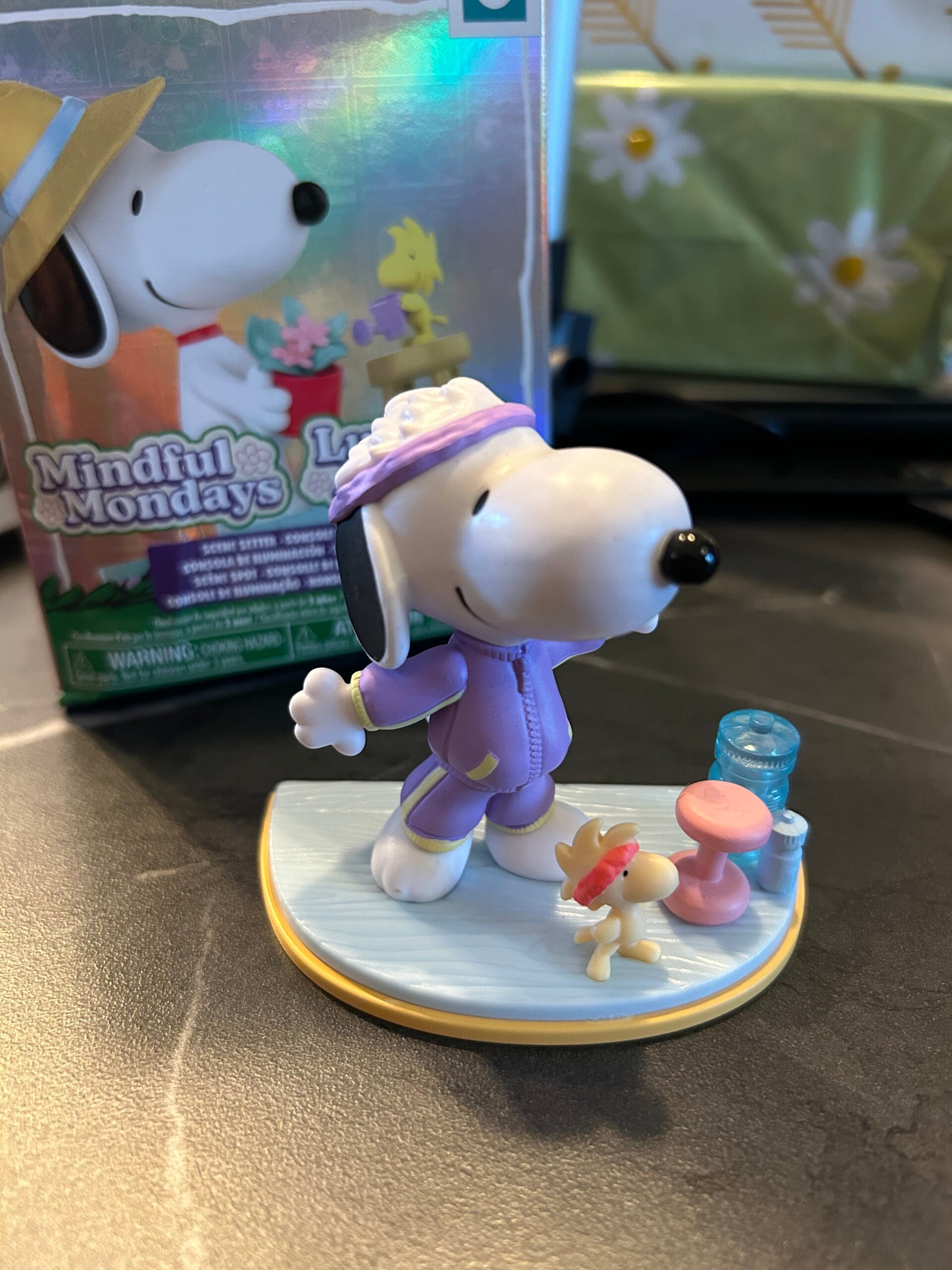 Peanuts: Snoopy Aerobic