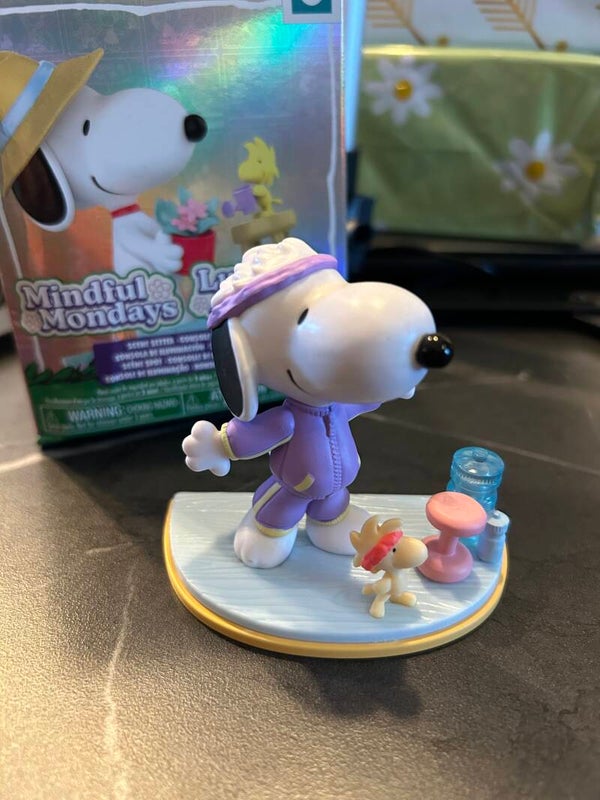 Peanuts: Snoopy Aerobic