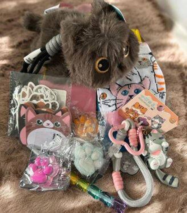 Cute kitten giftbox: LAATSTE! OP = OP