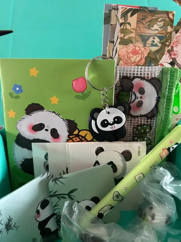 🐼 Mini Panda Mystery Box 💕