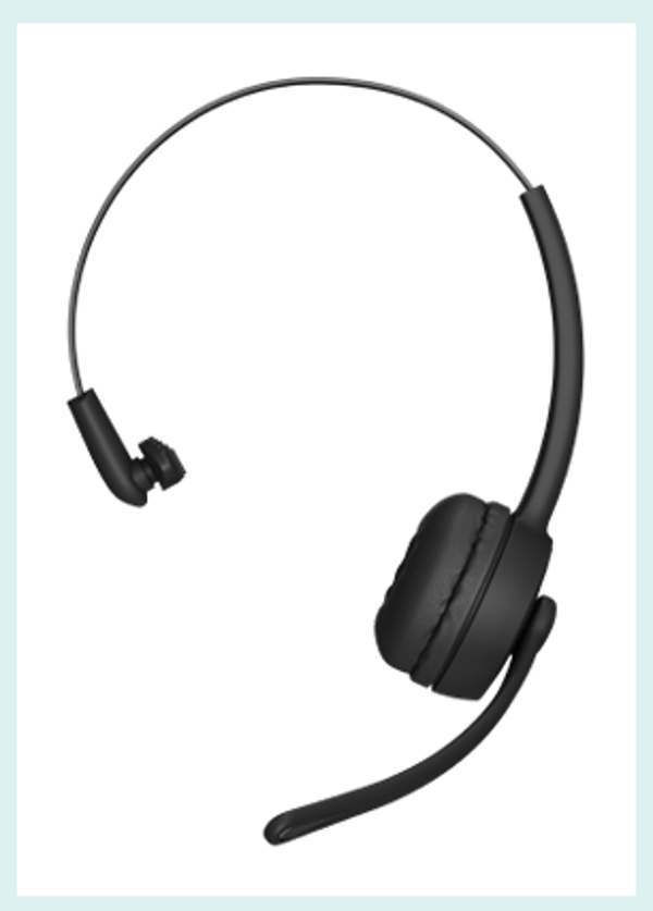 BT VOICE BRIDGE extra HEADSET