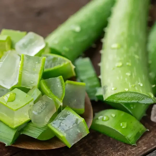 Aloe Véra
