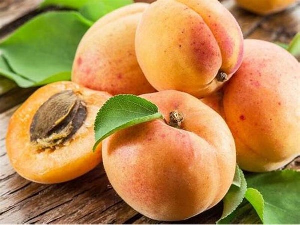 Nectar d'Abricot