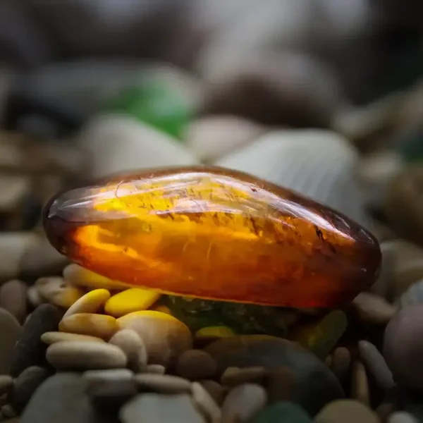 Ambre Gris