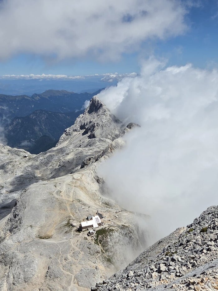 Alpengems in het rotsachtige terrein van het Triglav Nationaal Park (2)