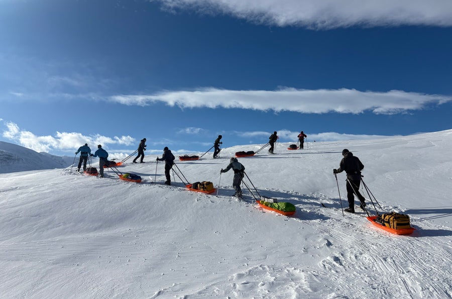 Winterexpeditie over de Kungsleden met pulkaslee door de sneeuw van Zweeds Lapland