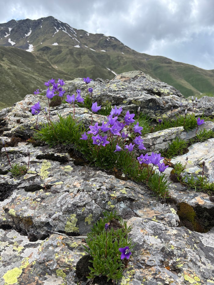 Traditioneel Georgisch bergdorp langs de trekkingroute