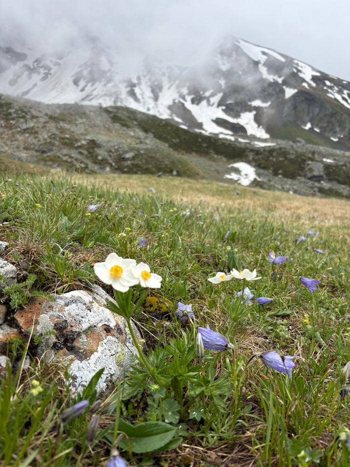 Weids berglandschap van de Kaukasus tijdens de trektocht door Georgië