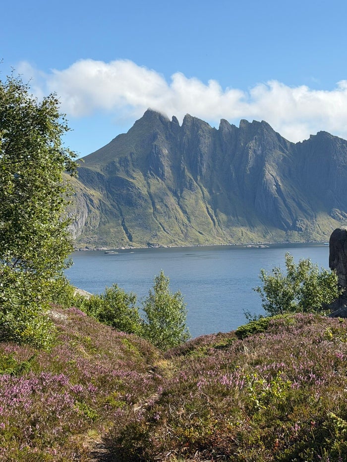 Traditionele rode vissershutten (rorbuer) in een dorpje op de Lofoten