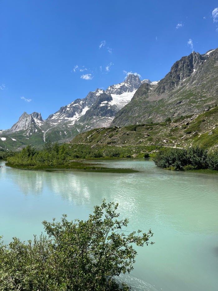 Koeien op een alpenweide (alm) in het Aostadal