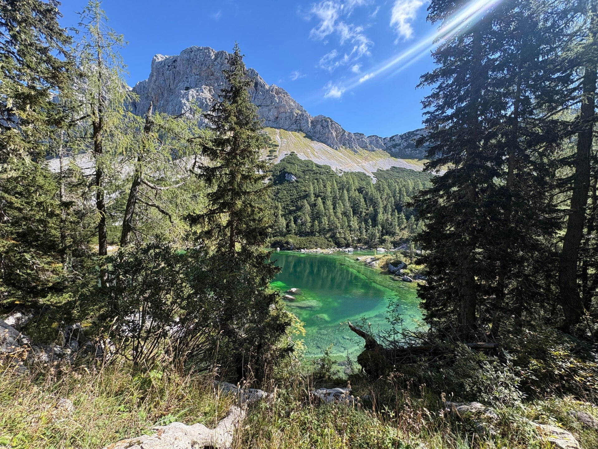 Het Meer van Bohinj in Slovenië