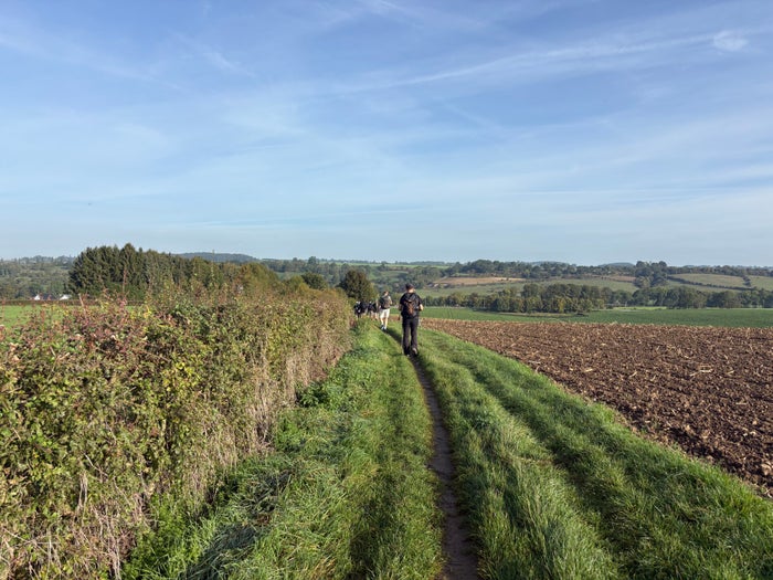 Groep wandelaars tijdens de Heuvel Training in Zuid-Limburg