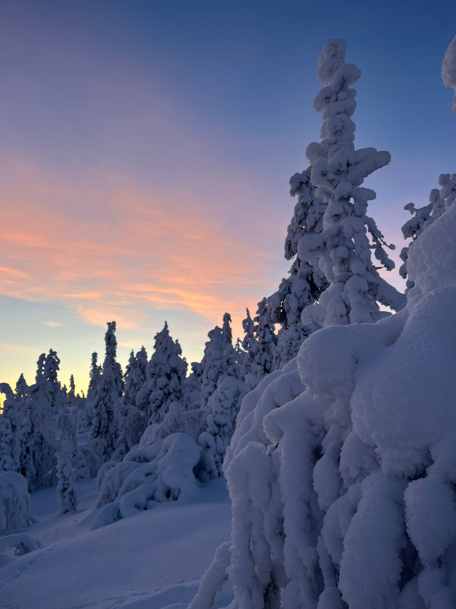 Expeditie Lapland
