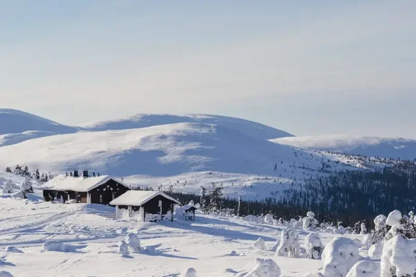 Kungsleden winter