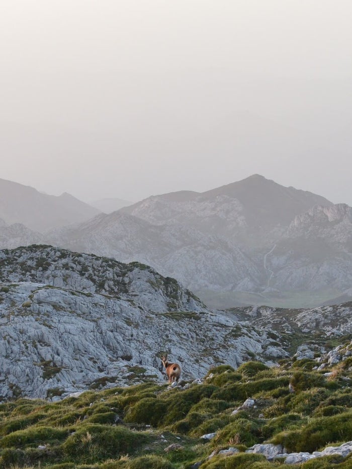 Wandelgroep onderweg tijdens de huttentocht naar de Triglav in Slovenië