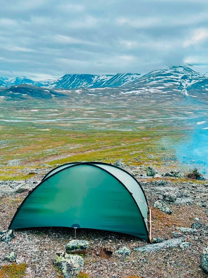 Wilde bloemen in het toendralandschap langs de Kungsleden (2)
