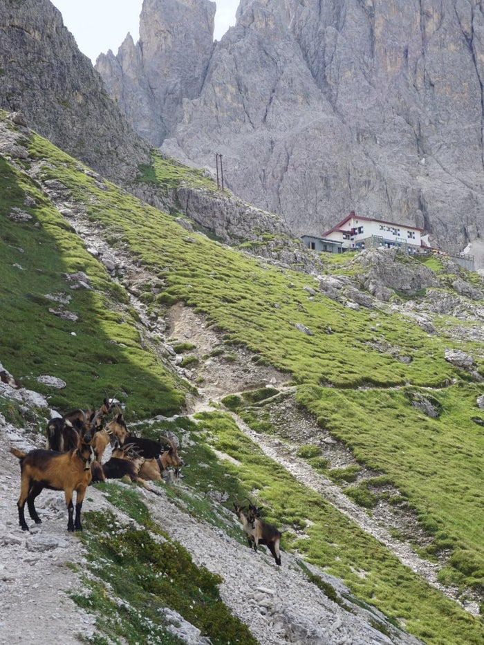 Ruige rotstoppen van de Dolomieten tijdens een Via Nomade-huttentocht in Italië