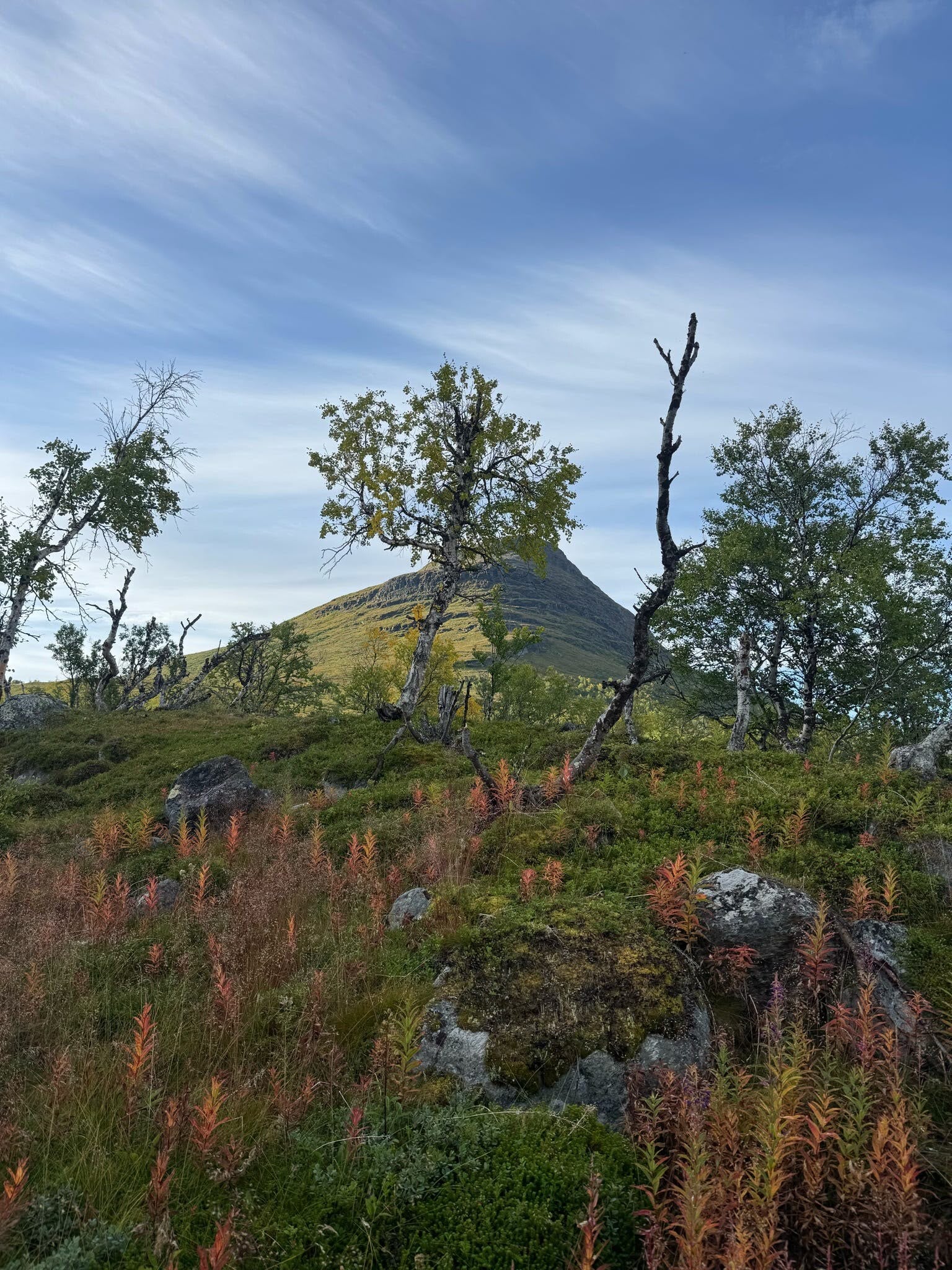 Uitzicht op de Kungsleden